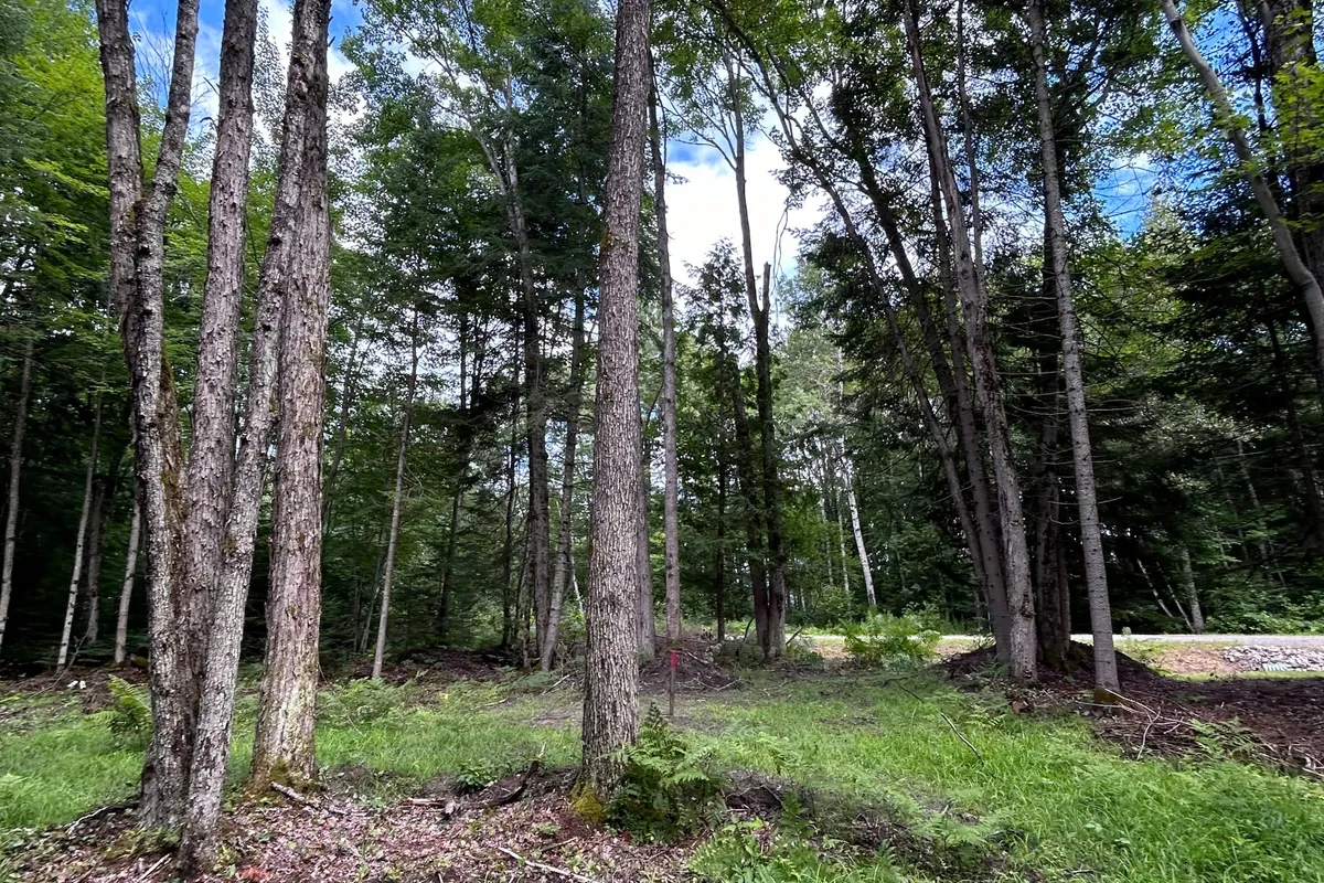 63 Annie Mayhew Road, Madawaska Valley, ON K0J 1L0