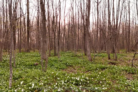 220 8th Line Road, Athens, ON K0E 1B0