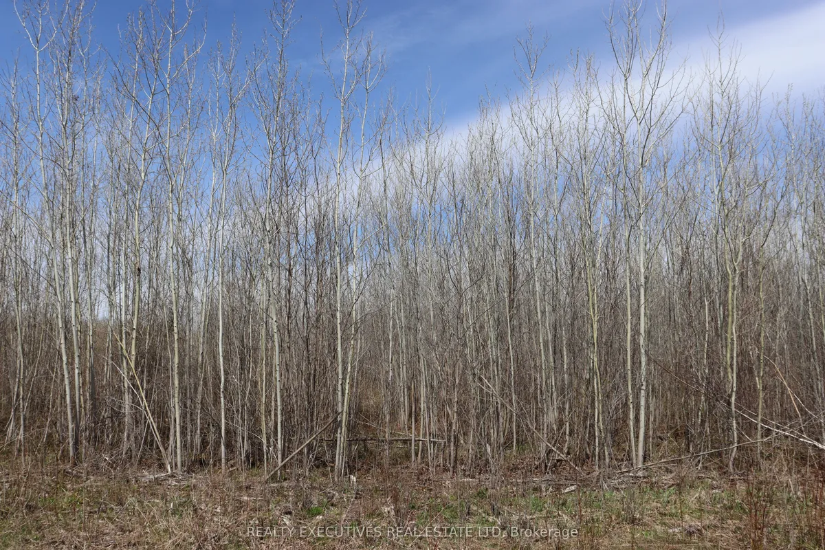 15905 Concession 2-3 Road, North Stormont, ON K0C 1K0