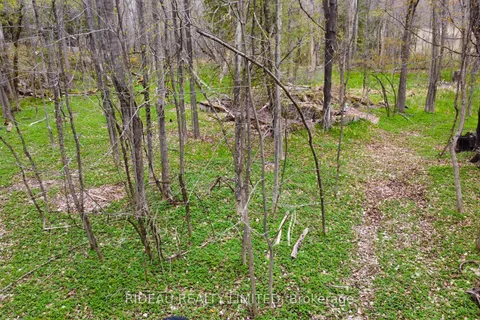 PL21 Pine Glen Road, Rideau Lakes, ON K0G 1E0