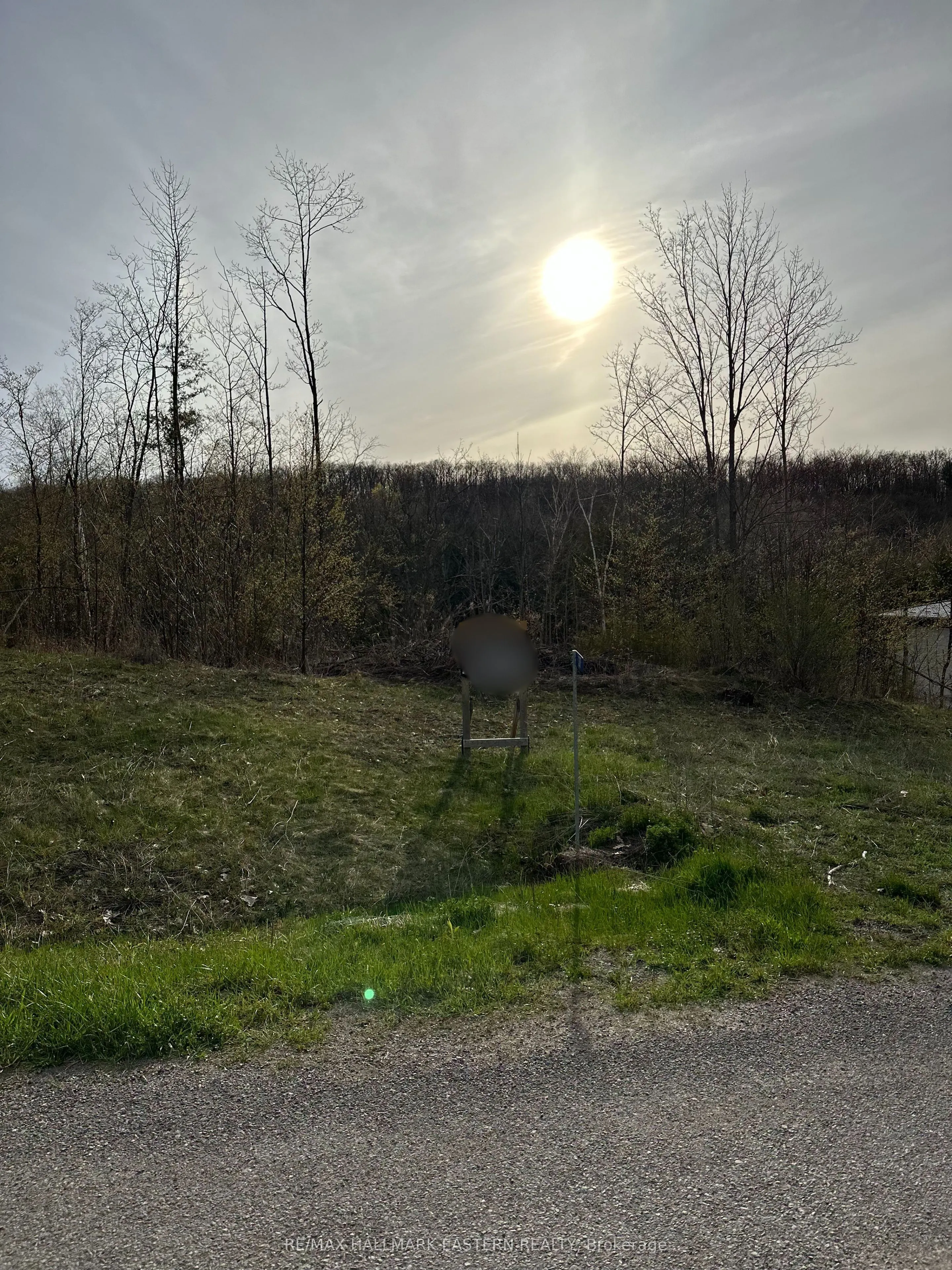 62 Trent View Drive, Trent Hills, ON K0L 1Y0