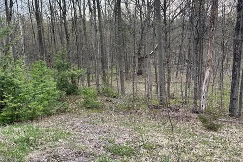 62 Trent View Drive, Trent Hills, ON K0L 1Y0