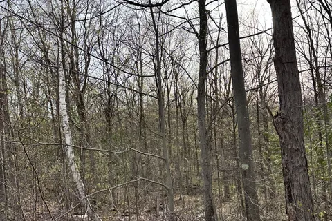 62 Trent View Drive, Trent Hills, ON K0L 1Y0