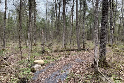 00 O'Toole Road, ON K4C 1M4