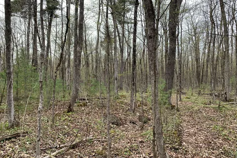 00 O'Toole Road, ON K4C 1M4