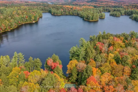 1086 SOUTH TOAD LAKE Road, Lake of Bays, ON P1H 2J6