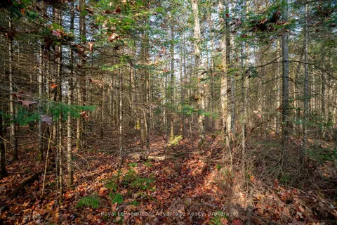 181 Clarkes Lane, Huntsville, ON P0B 1M0