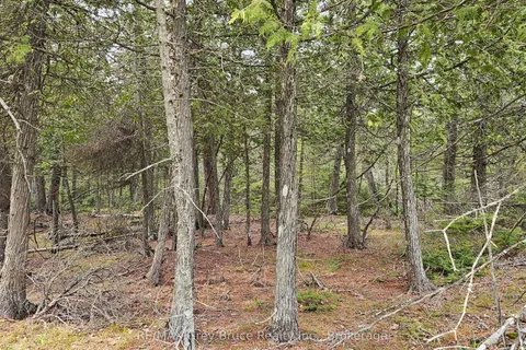LT 255 Pedwell Pt. Drive, Northern Bruce Peninsula, ON N0H 2R0