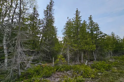 LT 255 Pedwell Pt. Drive, Northern Bruce Peninsula, ON N0H 2R0