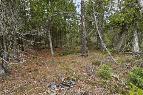 LT 255 Pedwell Pt. Drive, Northern Bruce Peninsula, ON N0H 2R0