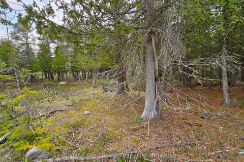 LT 255 Pedwell Pt. Drive, Northern Bruce Peninsula, ON N0H 2R0