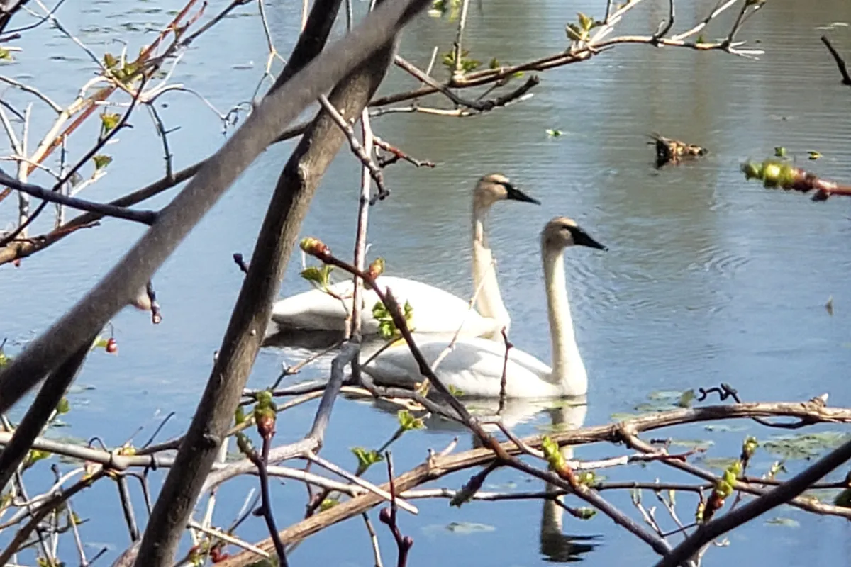 295 Brant Road, Brant, ON N0E 1N0