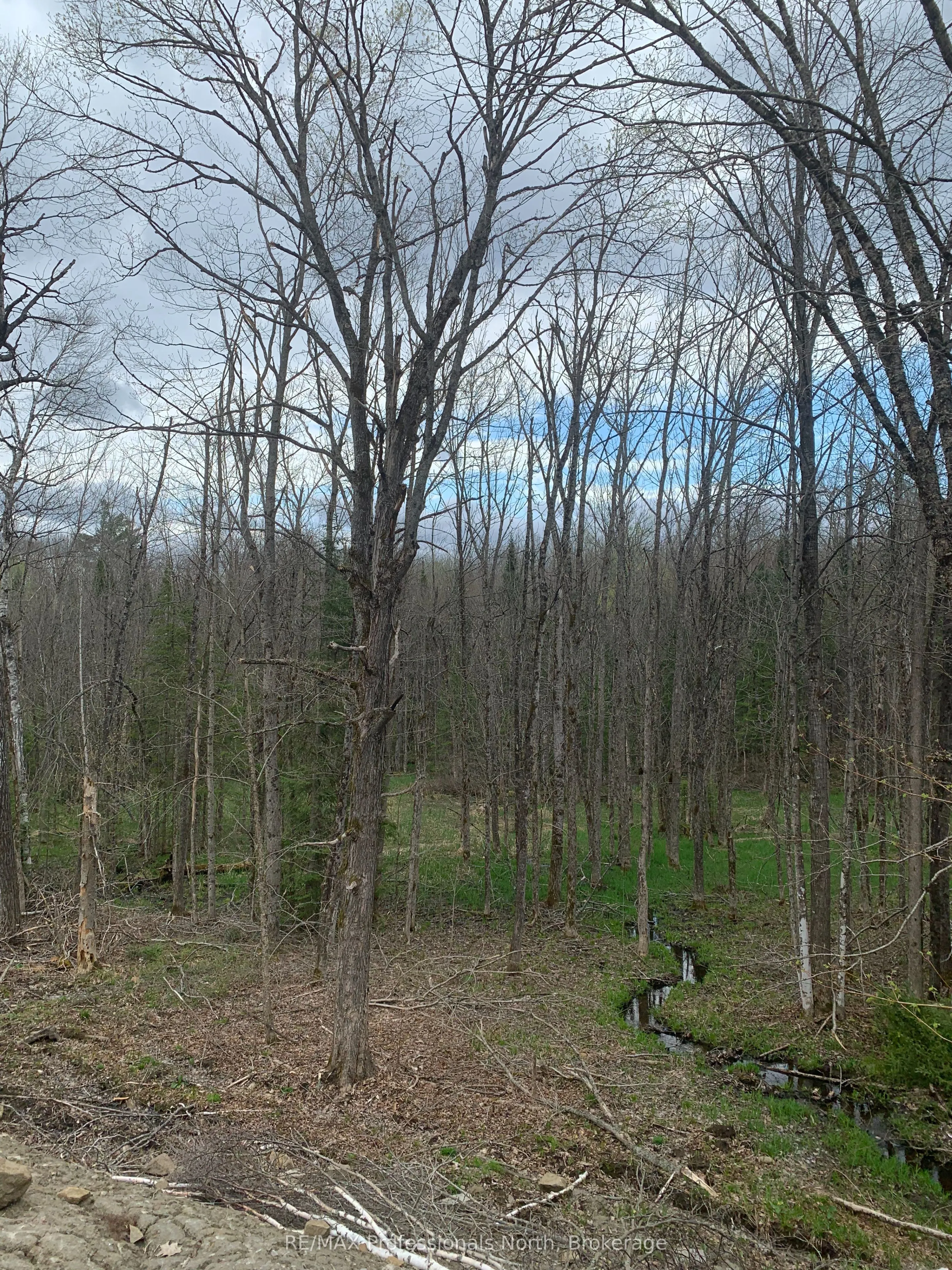 3052 Deep Bay Road, Minden Hills, ON K0M 2K0