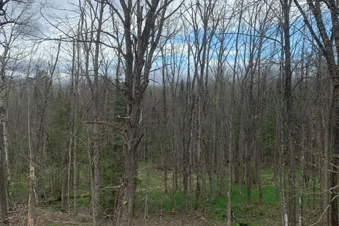 3052 Deep Bay Road, Minden Hills, ON K0M 2K0