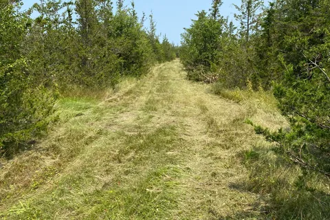 1677 County 8 Road, Prince Edward County, ON K0K 2T0