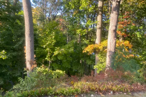 28 Sherbourne Street, Port Hope, ON L1A 1H2