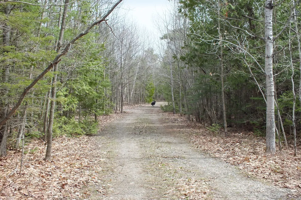 N/A Dial Road, ON P0P 2C0