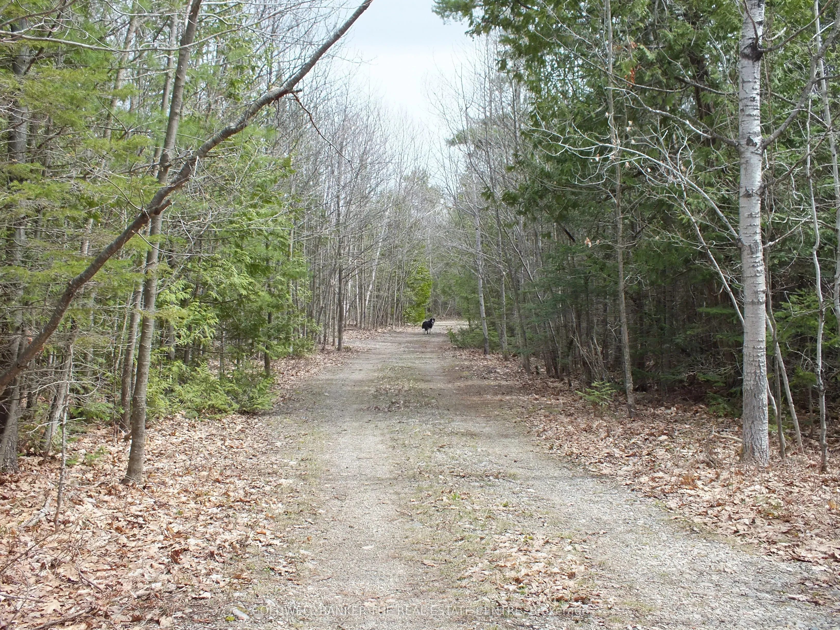 N/A Dial Road, ON P0P 2C0