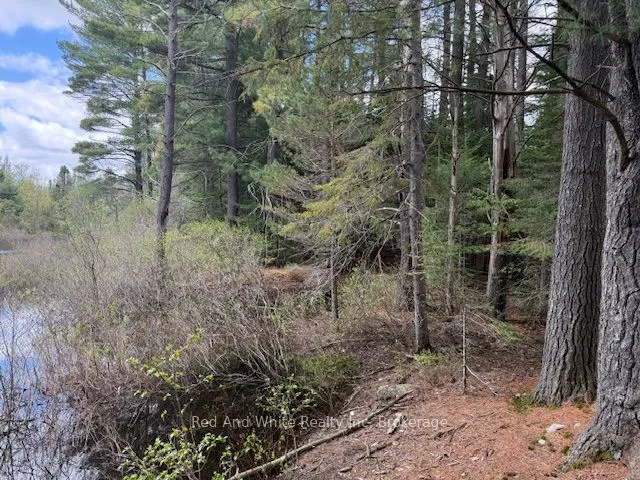 3307 518 Highway, ON P0A 1Y0