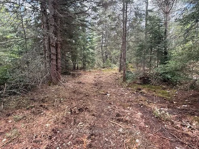 3307 518 Highway, ON P0A 1Y0