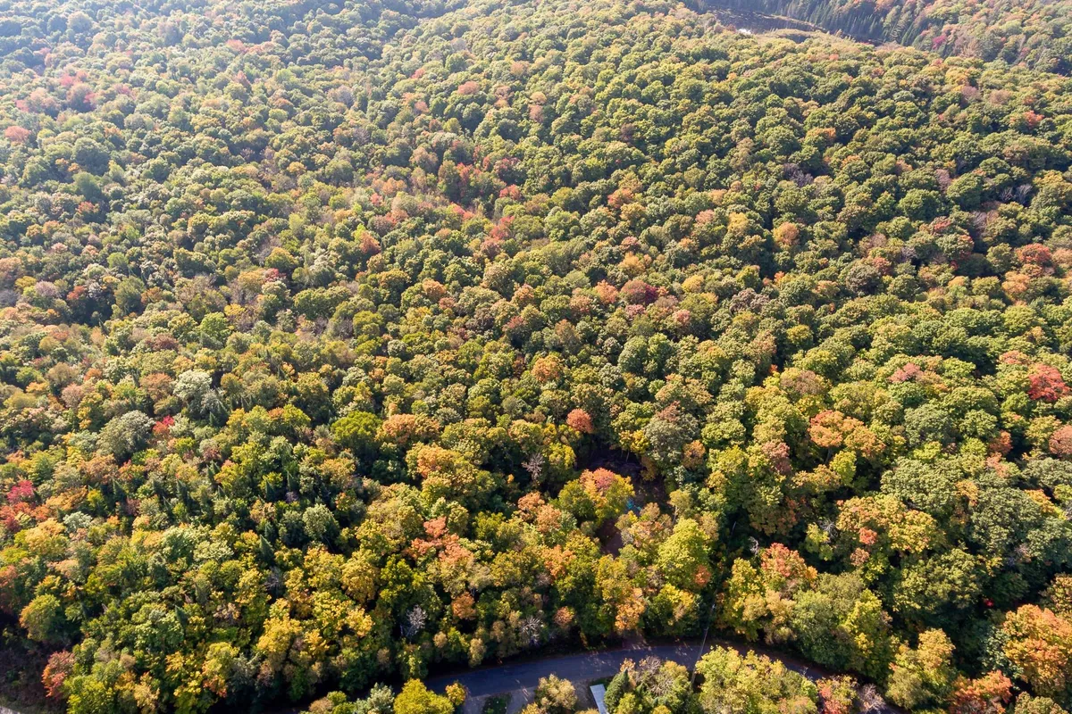 738 HARP LAKE Road, ON P1H 2J6