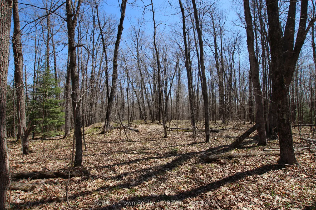 0 534 Hwy Highway, ON P0H 2R0