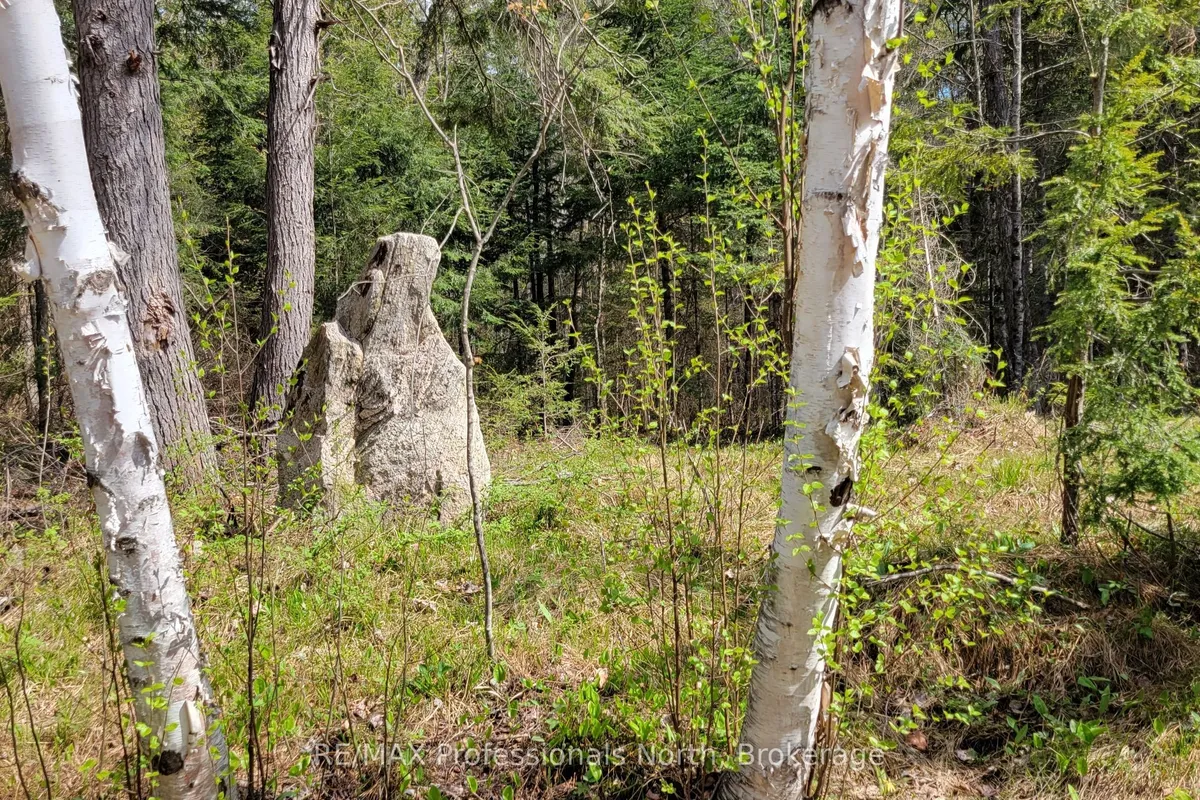 1469 YEARLEY Road, ON P0A 1Y0