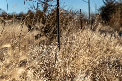 0 County Road 7 N/A, ON K0K 2T0