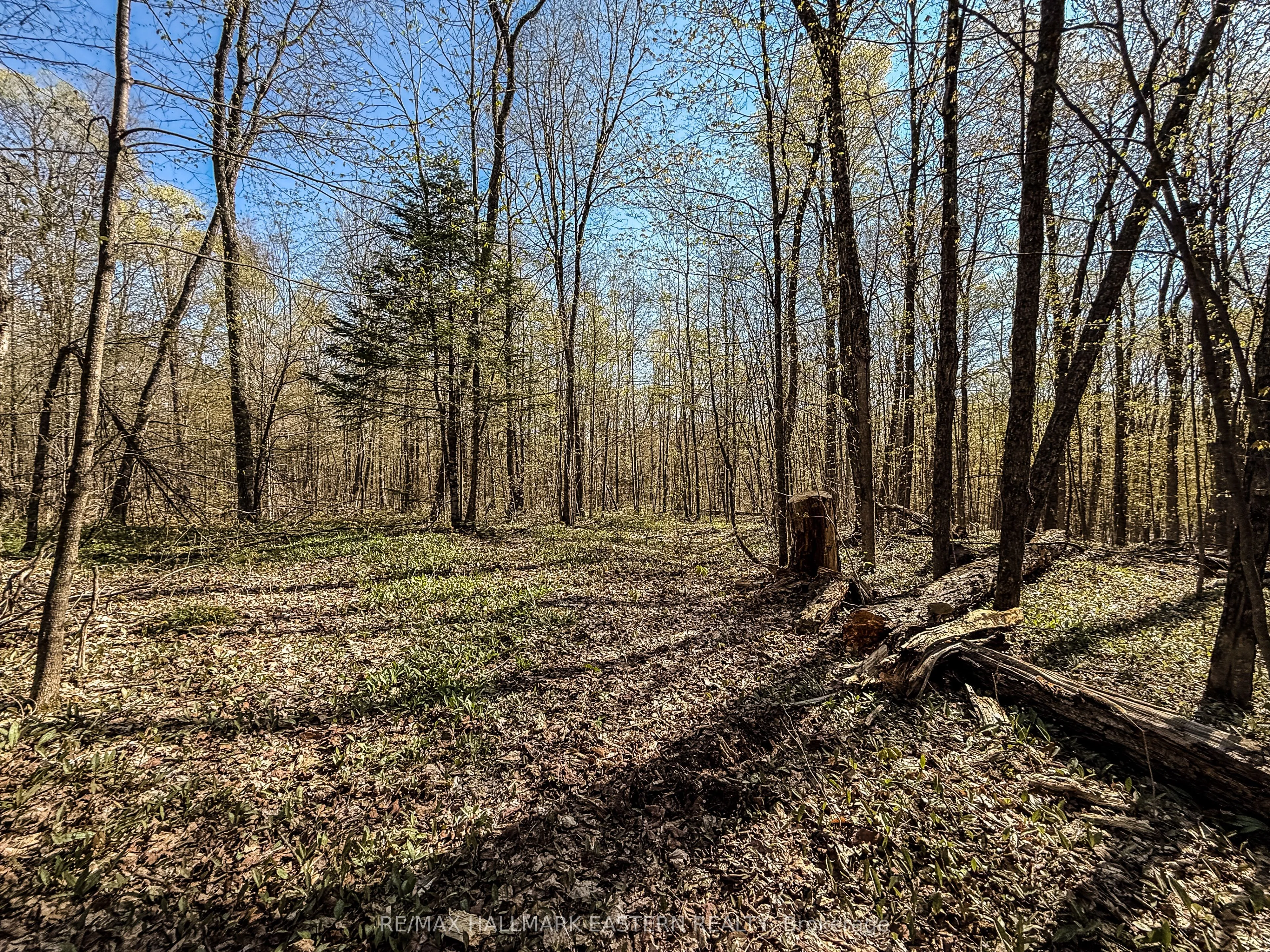 2494 Hadlington Road, ON K0L 3K0
