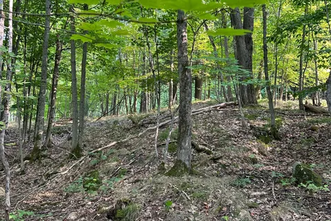 1000 Island Park Road, ON P0B 1J0