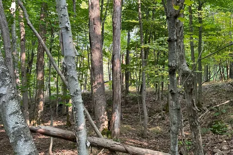 1000 Island Park Road, ON P0B 1J0