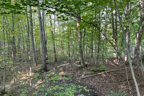 1000 Island Park Road, ON P0B 1J0