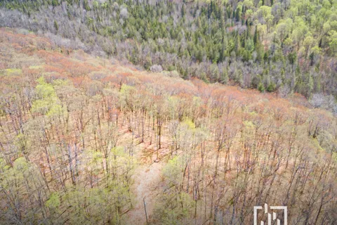 LT 9&10 Wenona Lake Road, ON K0M 1S0