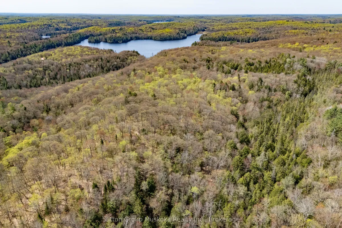 1667 Paint Lake Road, ON P0A 1E0