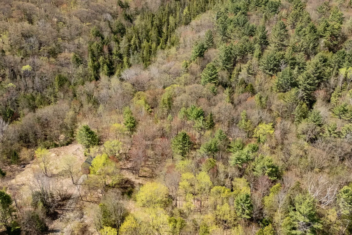 1667 Paint Lake Road, ON P0A 1E0