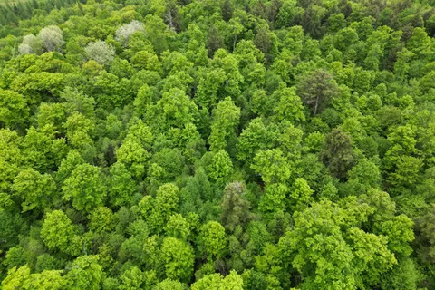 1-22342 East Road, ON P0H 1S0