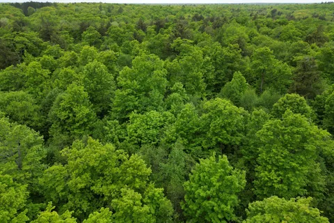 1-22342 East Road, ON P0H 1S0