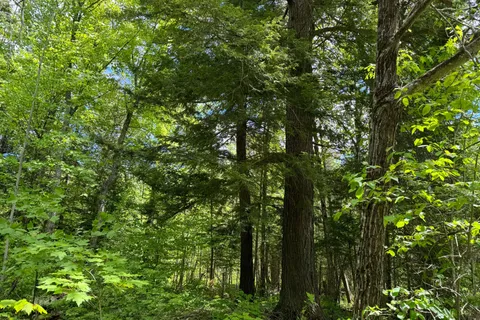 1-22342 East Road, ON P0H 1S0