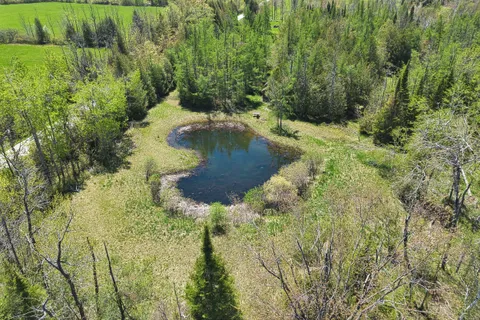 *Part of Lot 37 Sideroad 220 N/A, ON L9V 2J6