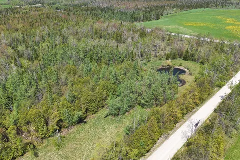 *Part of Lot 37 Sideroad 220 N/A, ON L9V 2J6