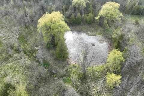 454 Balmy Beach Road, Georgian Bluffs, ON N4K 5N4