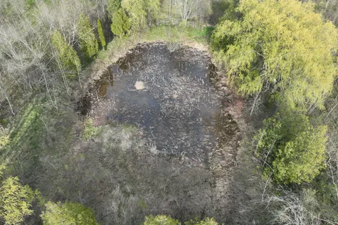 454 Balmy Beach Road, Georgian Bluffs, ON N4K 5N4