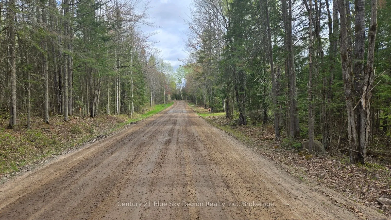 2438 Village Road, ON P0H 1Z0