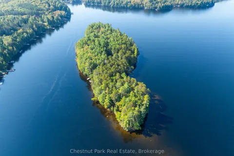 10000 Soyers - Brown Island N/A, ON K0M 2K0
