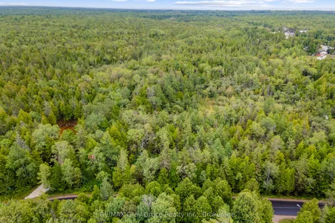 PT Farm LT 4 NICHOLAS Street, ON N0H 2R0