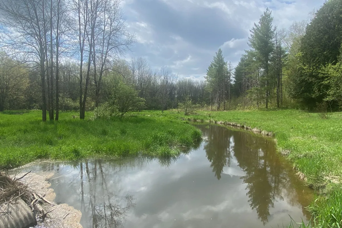 Pt Lot 13 Concession 7 Concession, ON N4K 5N5