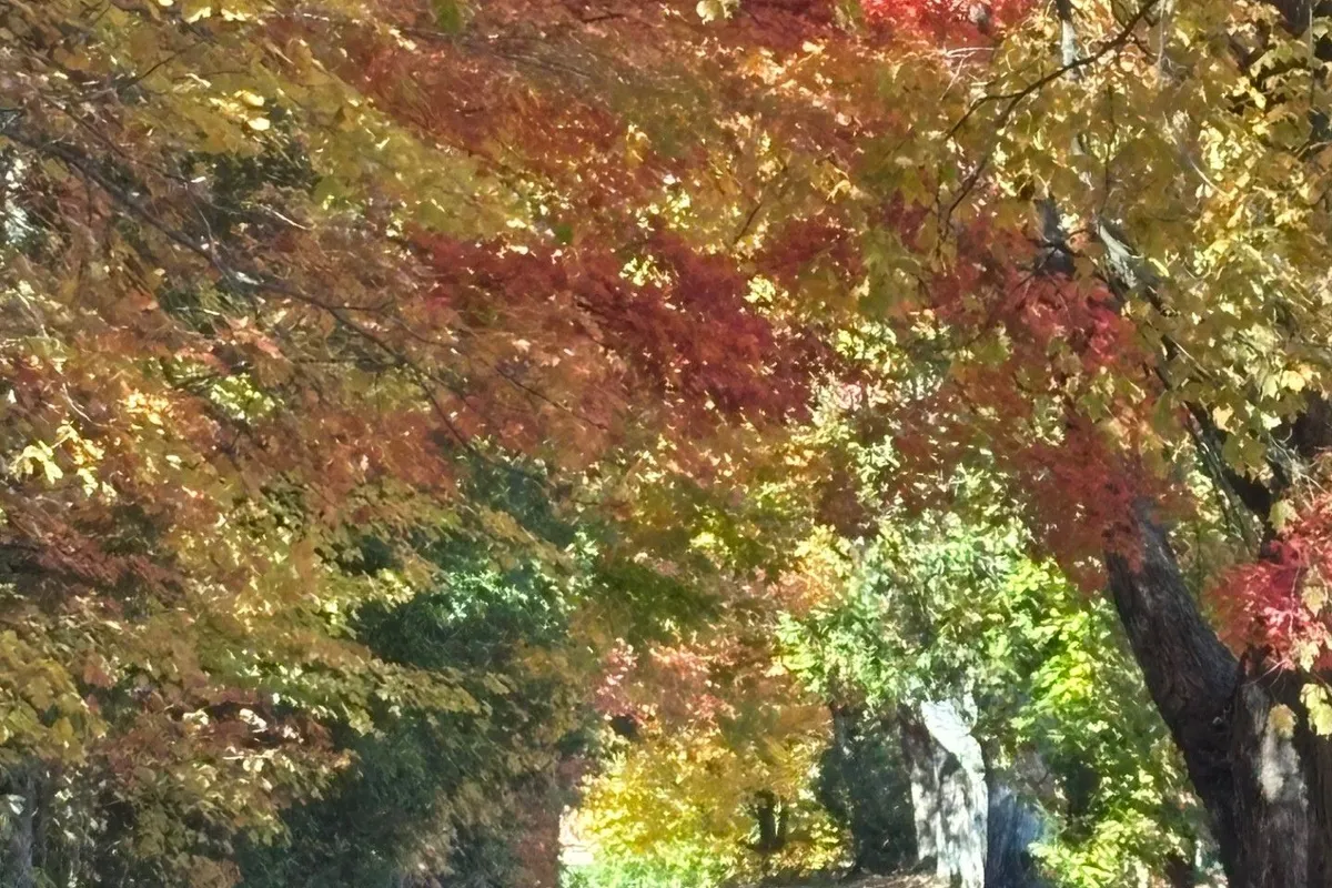 404 Morton Line, ON L0A 1C0