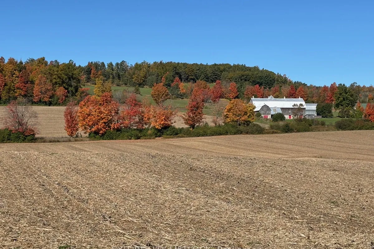 404 Morton Line, ON L0A 1C0