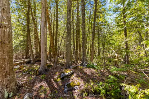Pt Farm Lot 4 Chi Sin Tib Dek Road, Northern Bruce Peninsula, ON N0H 2R0
