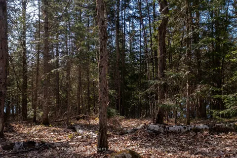 Lot 2 Greenwood Way, ON P0A 1G0